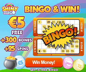 bingo-bonus-shiny-bingo