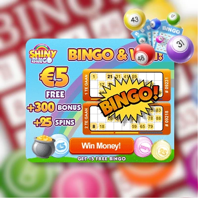 Informatie ShinyBingo Bingo