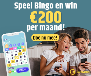 Geld verdienen spelletjes bingo